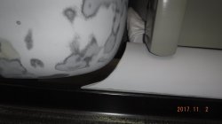 171102 53 Chevy Pickup (2).JPG